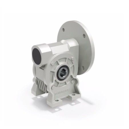 VF 49 F2 80 P63 B8 B14