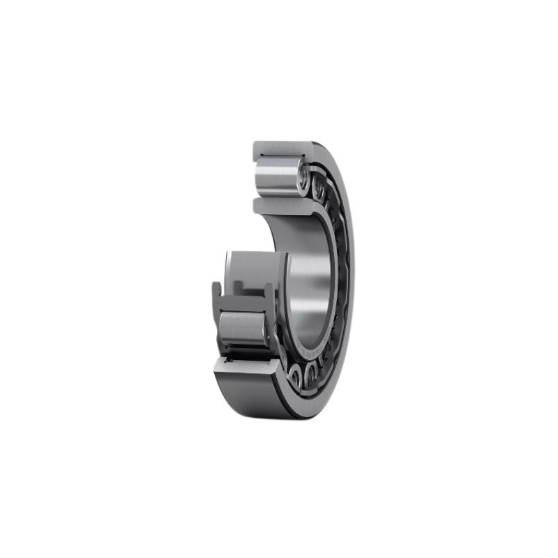 Roller bearing Cylindrical radial