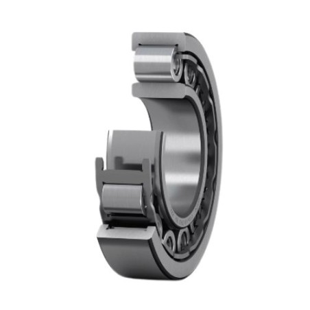 Roller bearing Cylindrical radial
