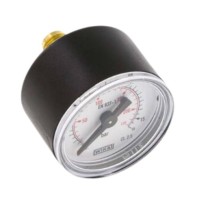 pressure gauge 10 bar. thread BSP1/4"