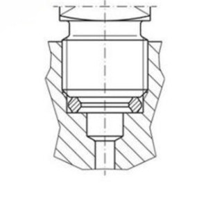 1/4" vidus, žiedas hidraulinio manometro sandarinimui, centravimas vidumi, varis