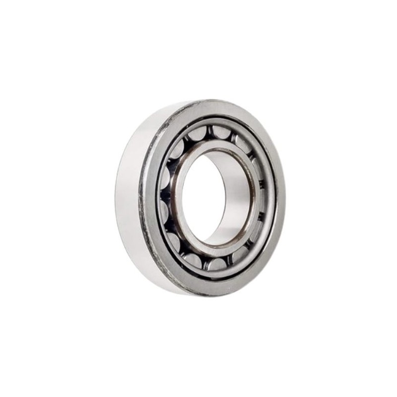 45x85x23 bearing NJ-2209 NTN