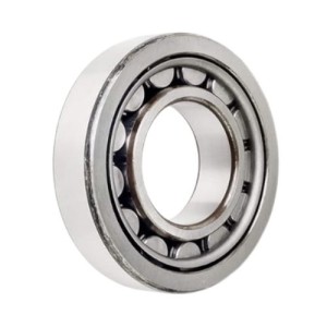 45x100x36 bearing NJ-2309 NSK